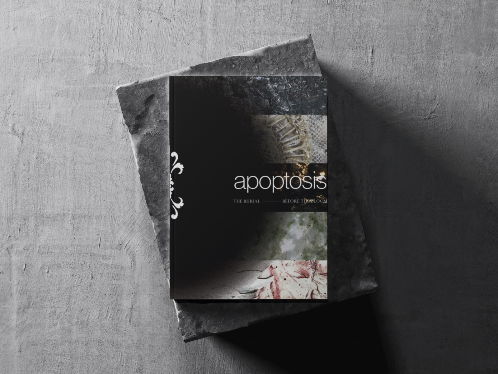 Apoptosis book cover presented on a textured gray surface