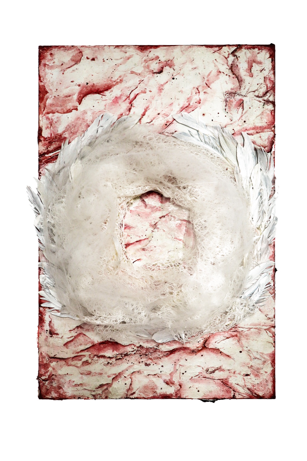 Rebirth, a red and white mixed-media work with a circular feathered form